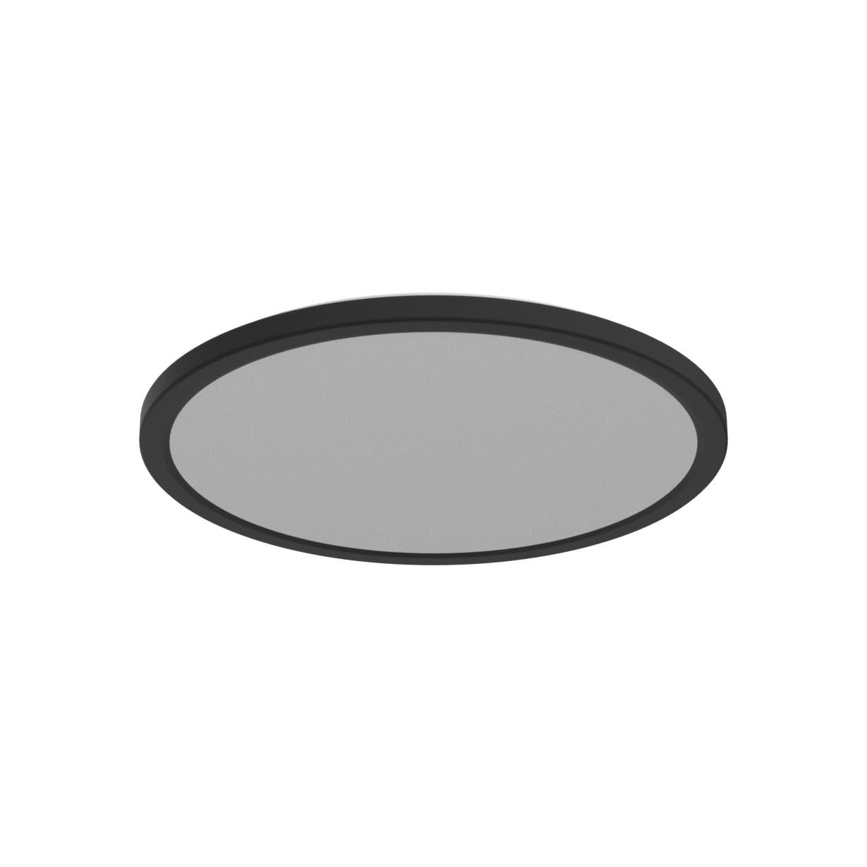 Ann aror 24W dimmable ceiling light for customizable brightness.