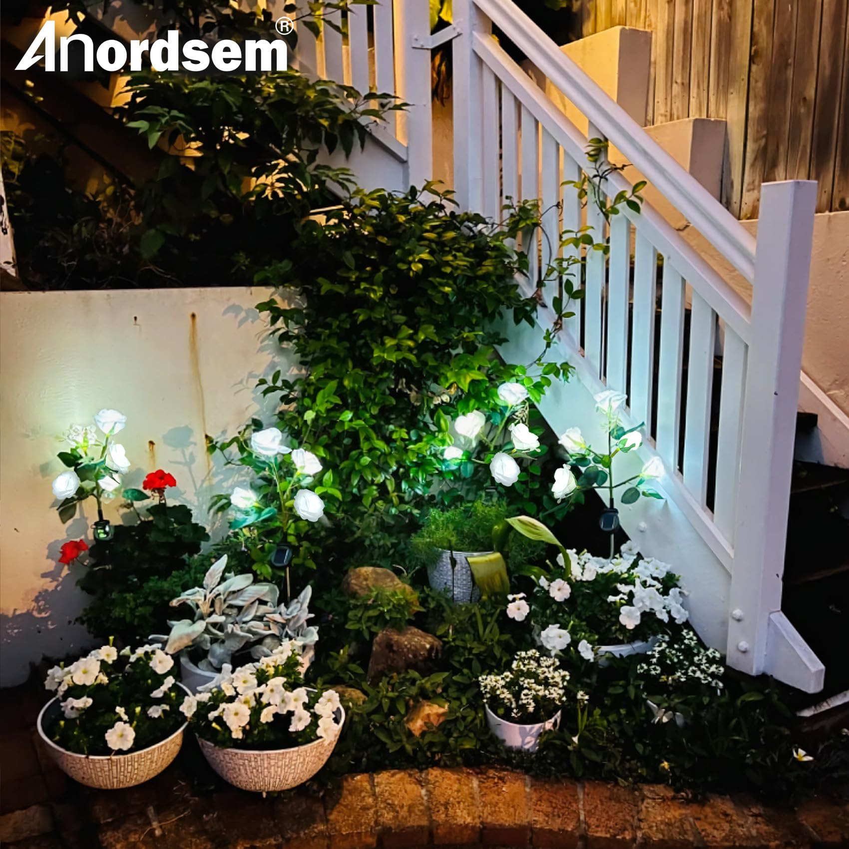 Anordsem cemetery-friendly rose lights for peaceful perimeter glow