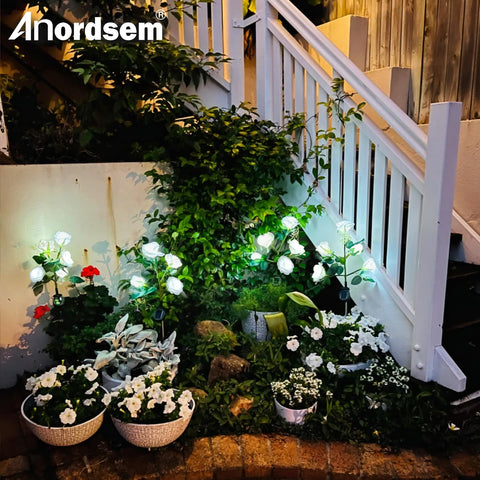 Anordsem cemetery-friendly rose lights for peaceful perimeter glow