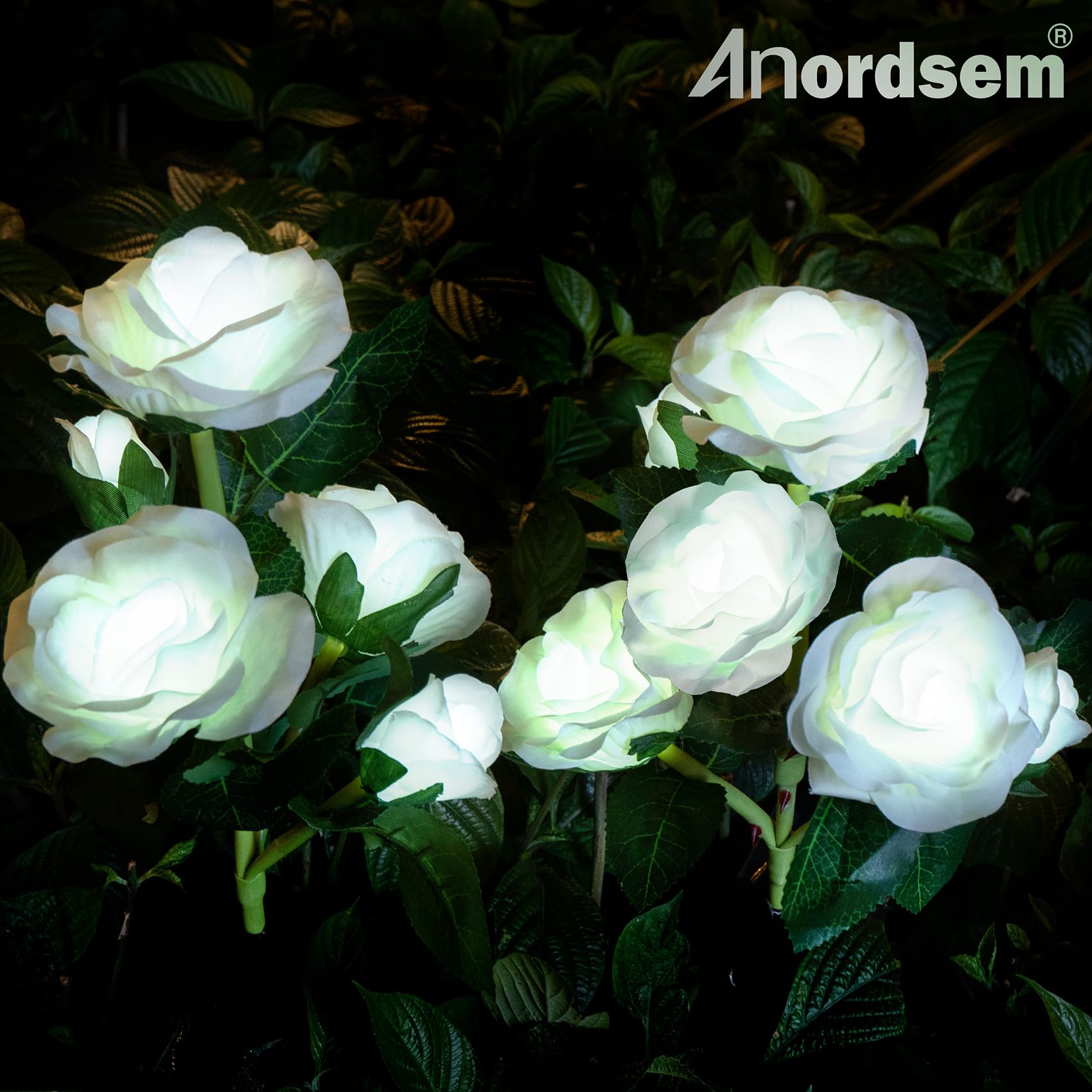 Anordsem white LED fabric roses create soft halo lighting