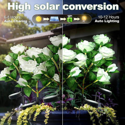 Anordsem roses illuminate yard, patio, and balcony pathways