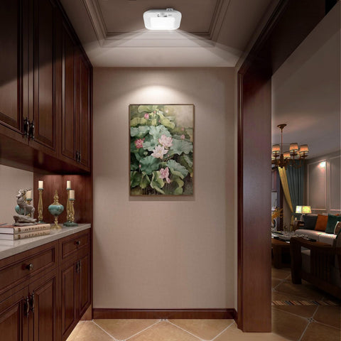 ANOTEK 4 AA battery-powered light suitable for cabinets and sheds.
