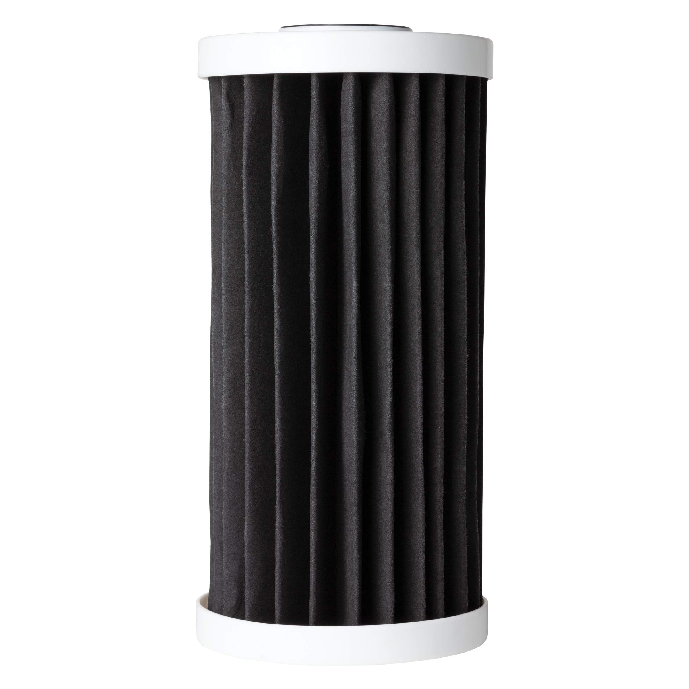 AO Smith 4.5x10 5-micron carbon filter for whole-house sediment reduction.