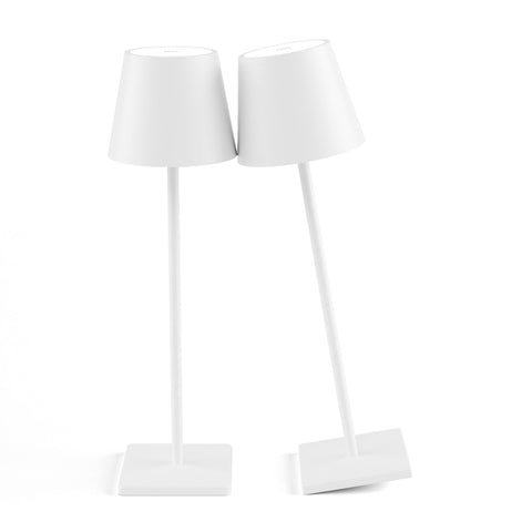 Aoceley 2-pack rechargeable table lamps shown together for versatile placement