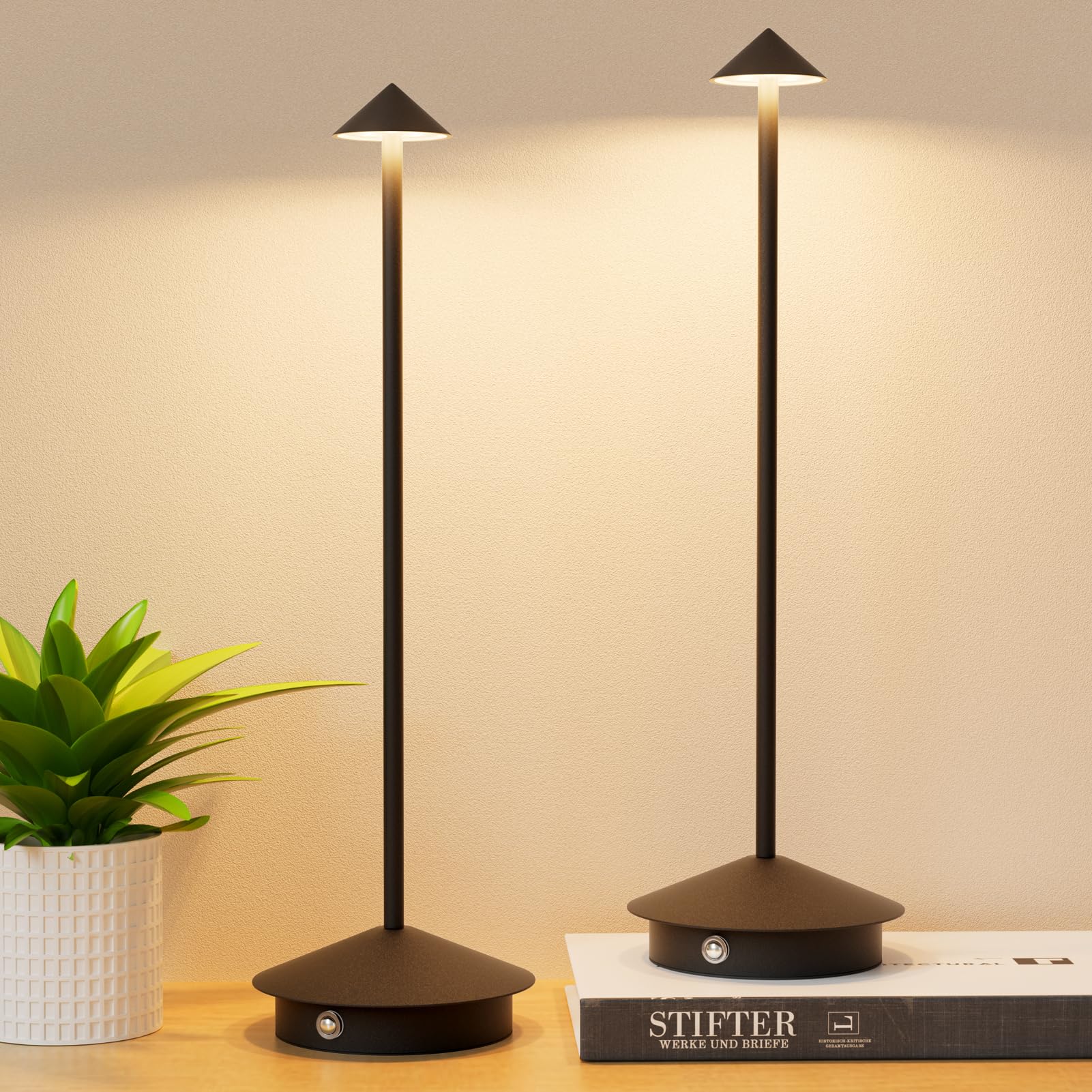 Aoceley 2-pack rechargeable LED table lamps charging via USB-C for outdoor spaces
