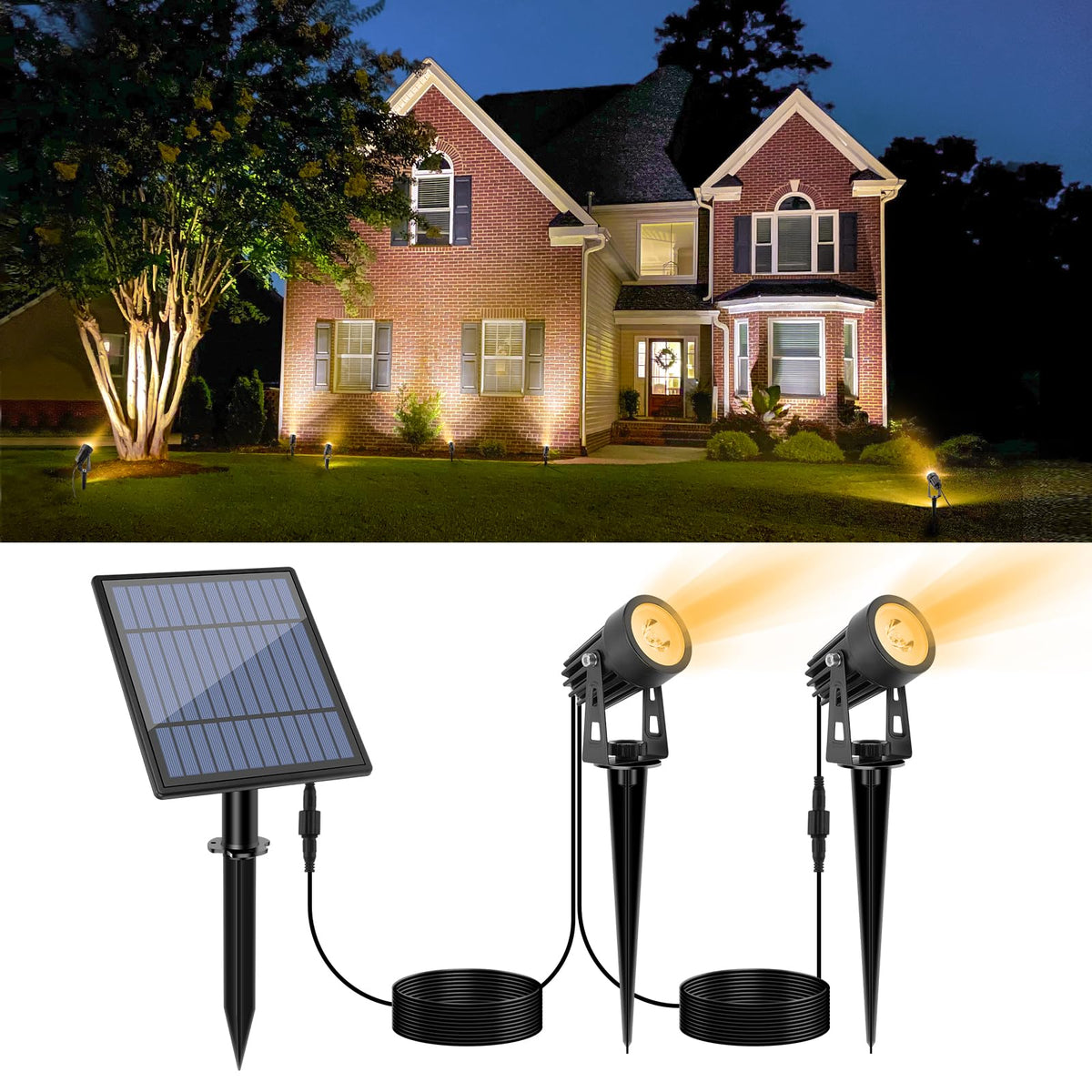 APONUO metal solar spot light highlights garden features at night.