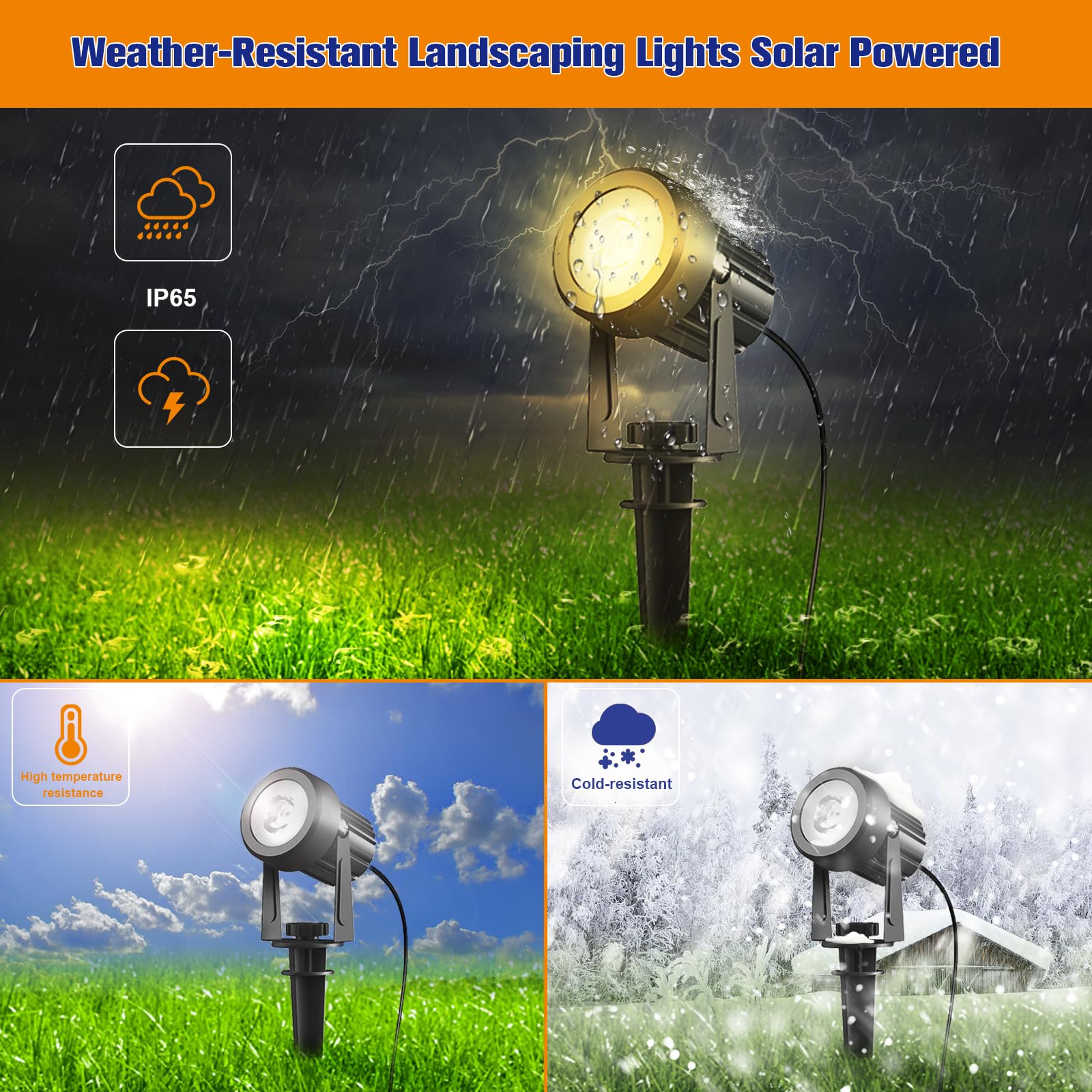 APONUO solar spot light highlighting a tree with uplighting.