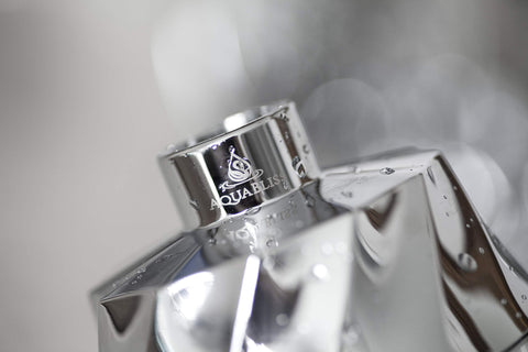 Chrome finish AquaBliss SF400 shower head aesthetic and filtration