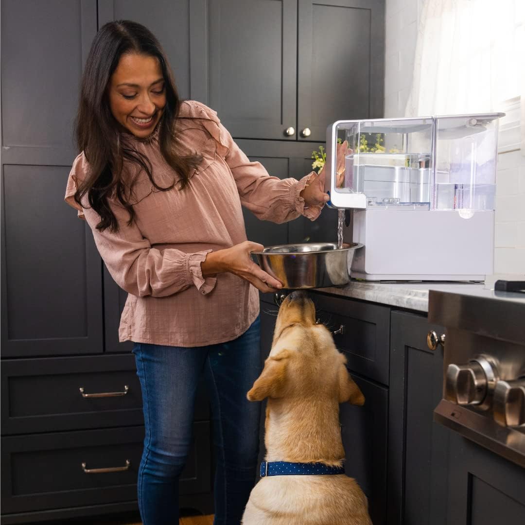 AquaTru Classic compact design fitting a kitchen counter space