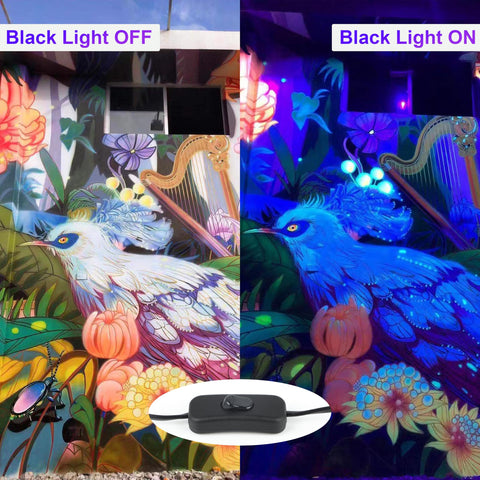 Arckarling included fluorescent balloons to kick off glow decor.