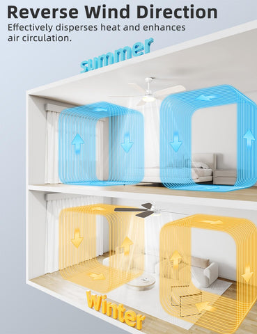Arecovas six-speed settings with timer offer tailored comfort and convenient scheduling