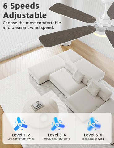 Arecovas remote control enables easy speed and light adjustments from anywhere in the room
