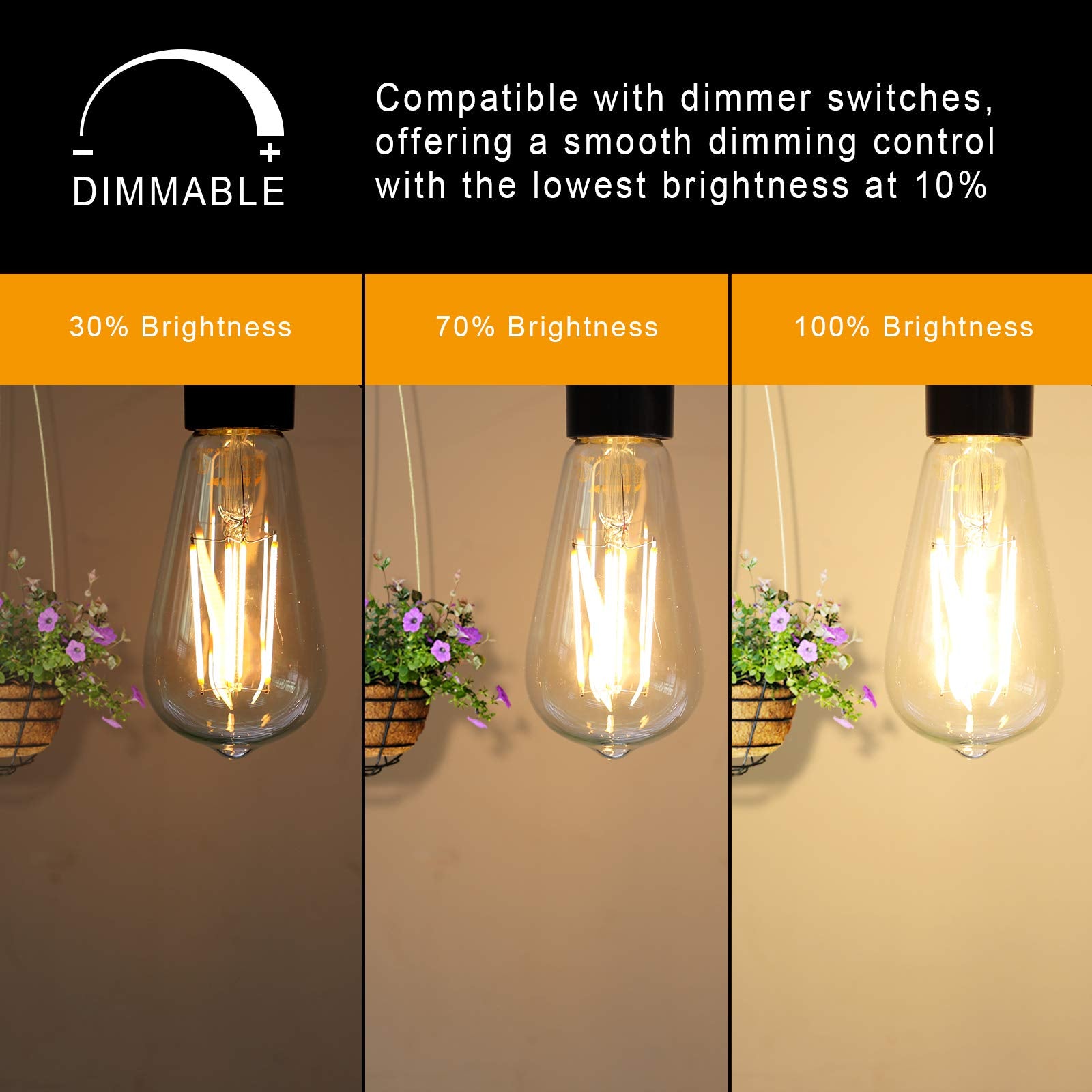 Ascher vintage LED Edison bulb mounted in a pendant fixture for cozy lighting