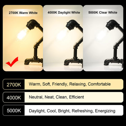 Ascher 6W bulb offers energy savings without sacrificing brightness.