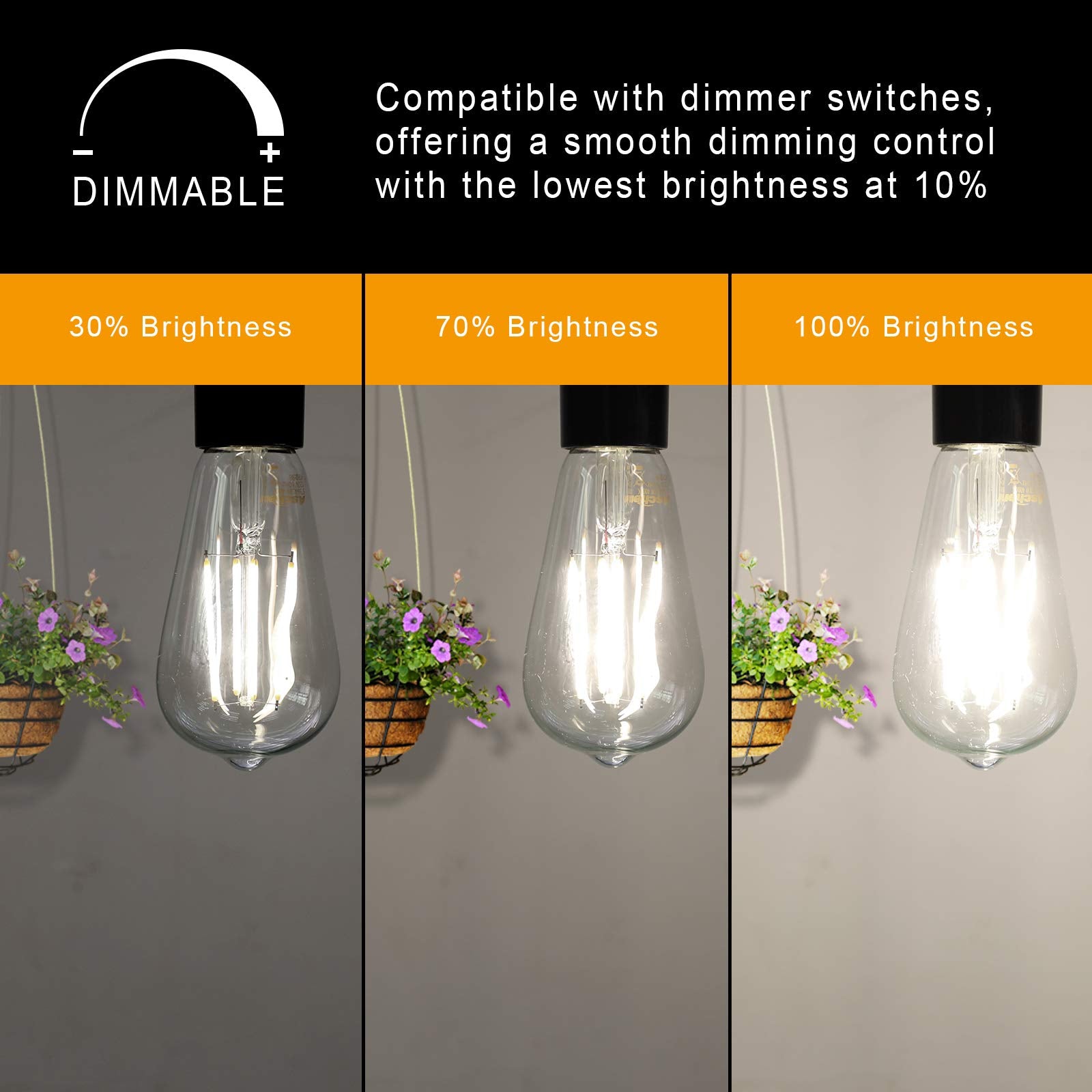 Ascher LED bulbs with E26 base fit kitchens and sconces for energy savings