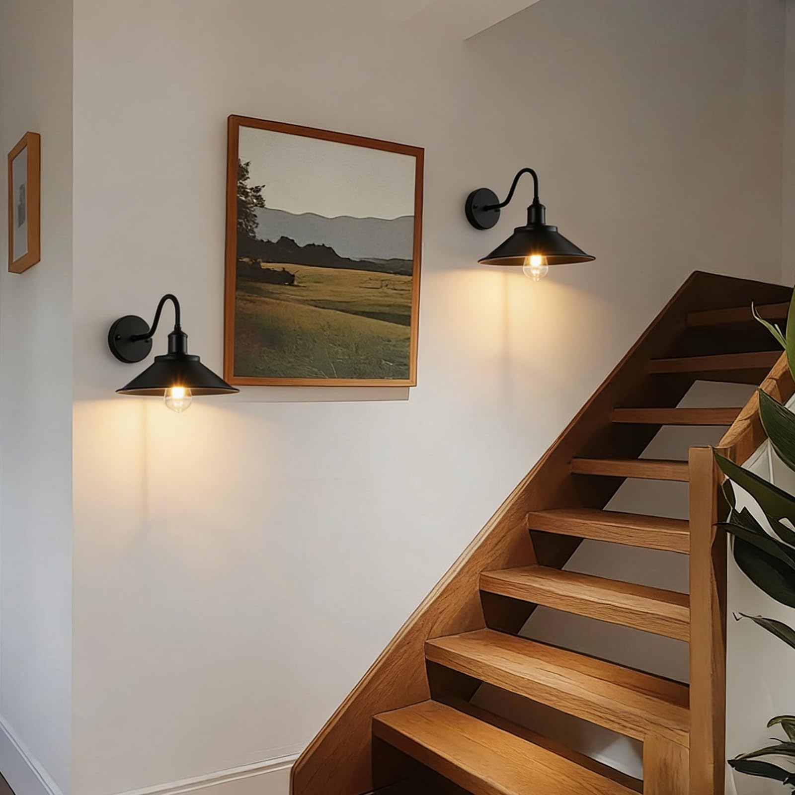 Ascher long-lasting LED Edison bulb for reliable daily use.