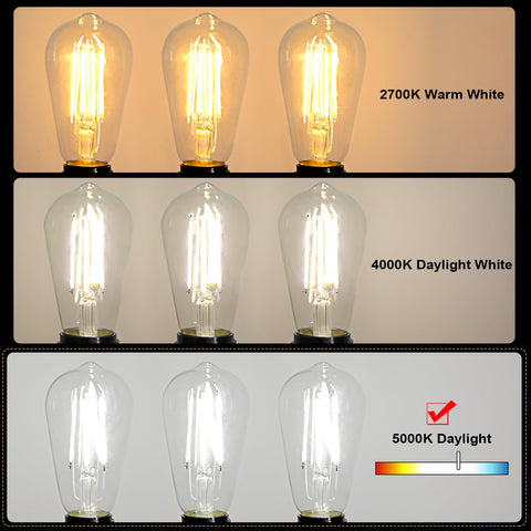 Ascher non-dimmable Edison bulbs fit fixtures without dimmer switches.