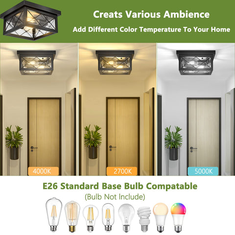Asnxcju 2-light flush mount showcases metal cage square design for cozy rooms.