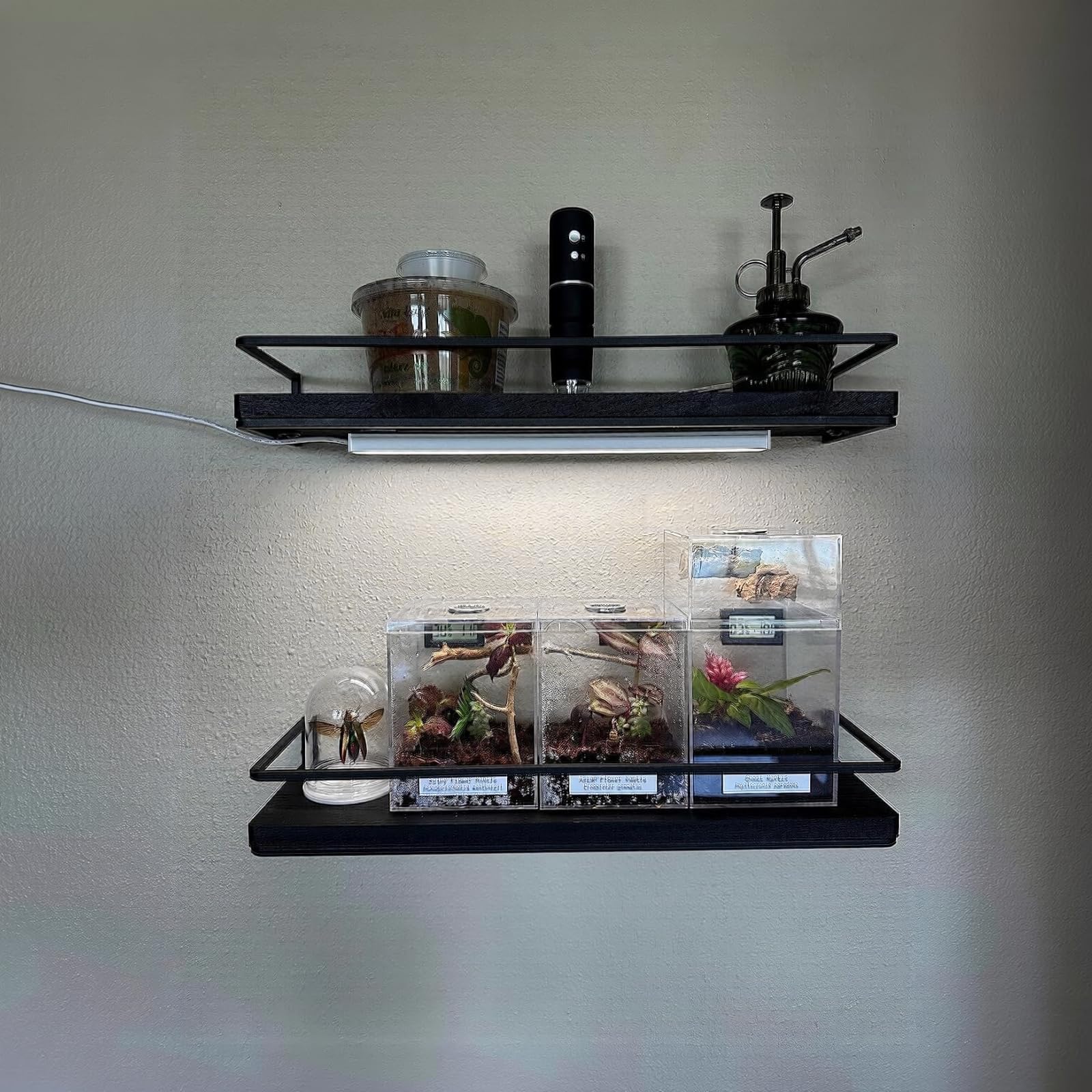 ASOKO LED counter light dimmed to 50% for ambient shelf lighting