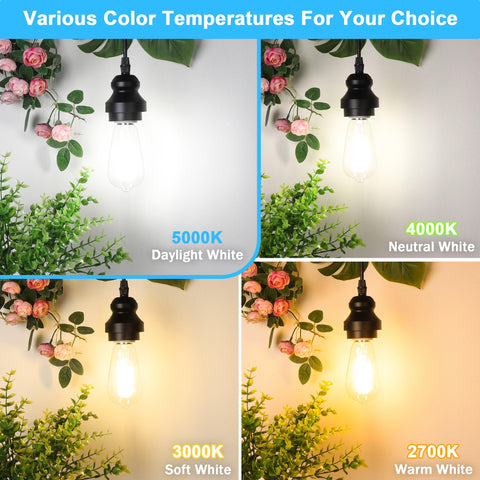 ASOMST 360-degree brightness LED Edison bulb fills spaces evenly