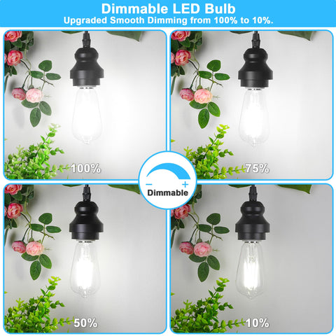 ASOMST ST58 dimmable filament Edison bulb for warm, adjustable lighting