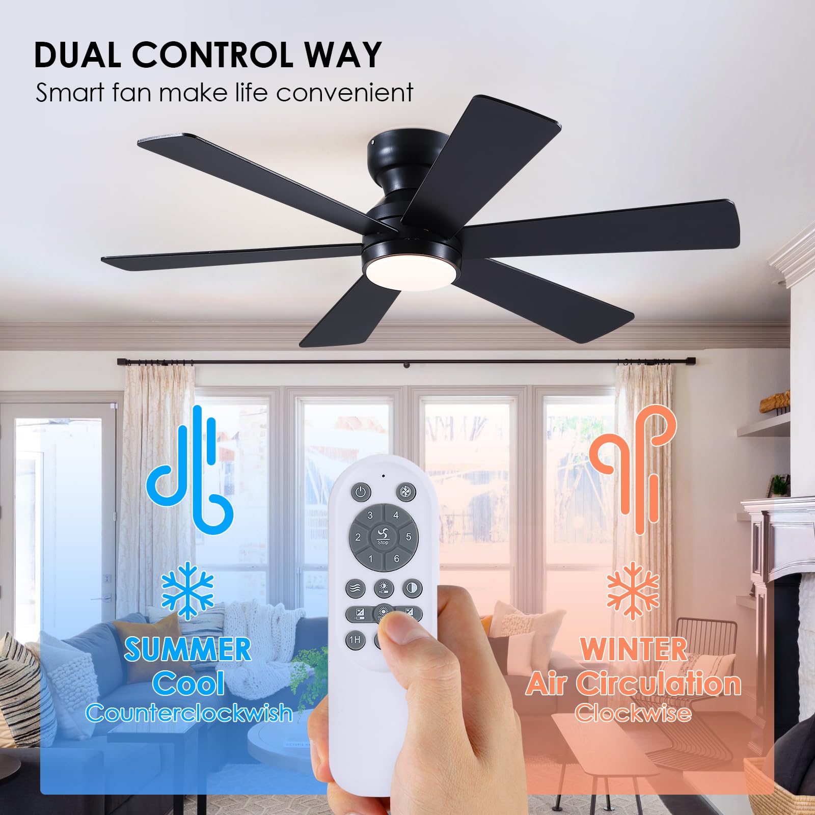 Asyko black-bodied ceiling fan with quiet operation.