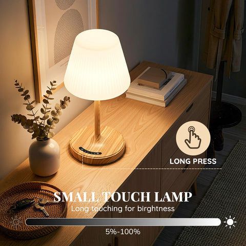 AUDLES 4000mAh rechargeable lamp provides long-lasting light without outlets.