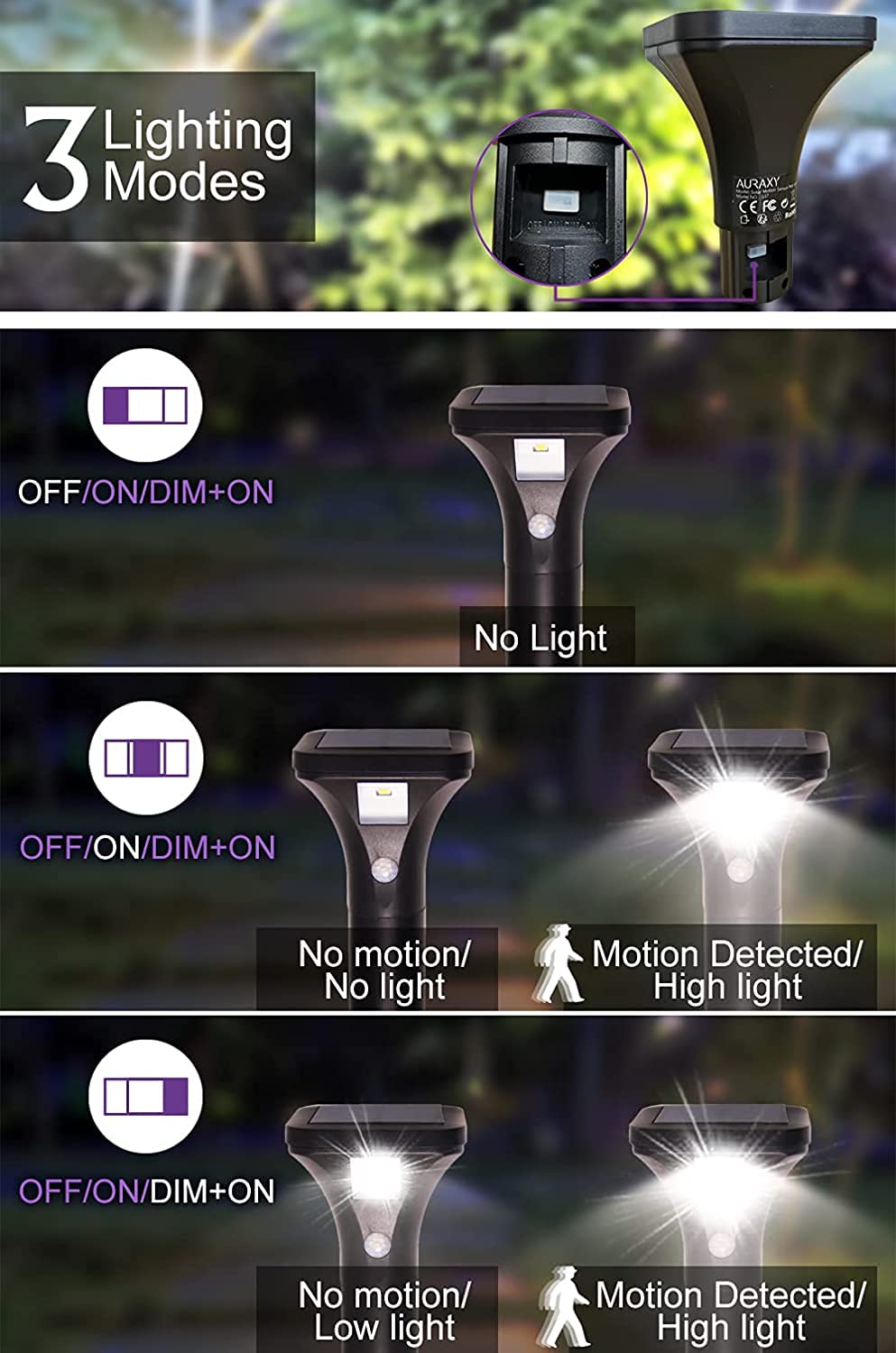 AURAXY solar panel powers bright LEDs for all-night outdoor illumination.