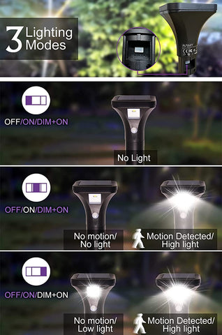 AURAXY solar panel powers bright LEDs for all-night outdoor illumination.