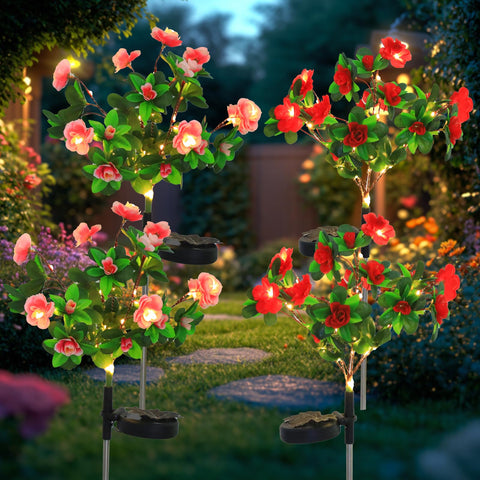 Aureate Horizon solar azalea red-pink blooms illuminate paths at dusk.