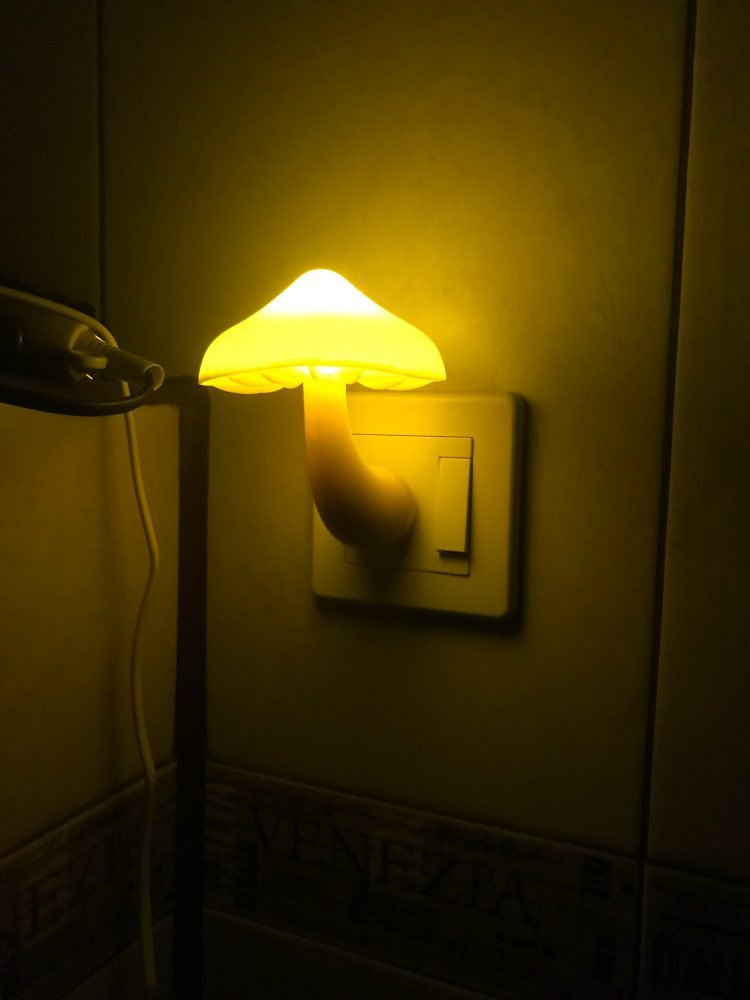 AUSAYE night light two-pack packaging keeps spares ready for hallways