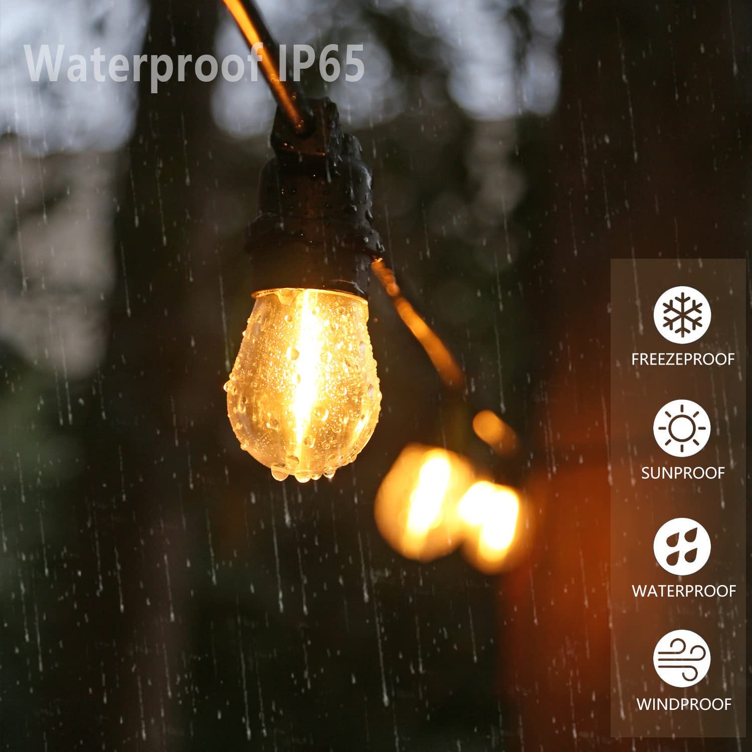 Austin Coast S14 bulb provides warm 2200K glow for cozy evenings.