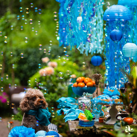 Avoseta mermaid-theme decor setup elevates celebrations with hanging accents