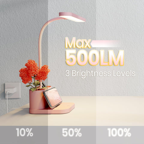 AXX Pink Desk Lamp showing touch control interface for brightness