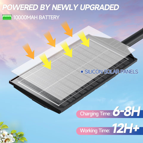 Azeivk Solar Lights Outdoor 6500K dusk-to-dawn lighting illuminates walkways.