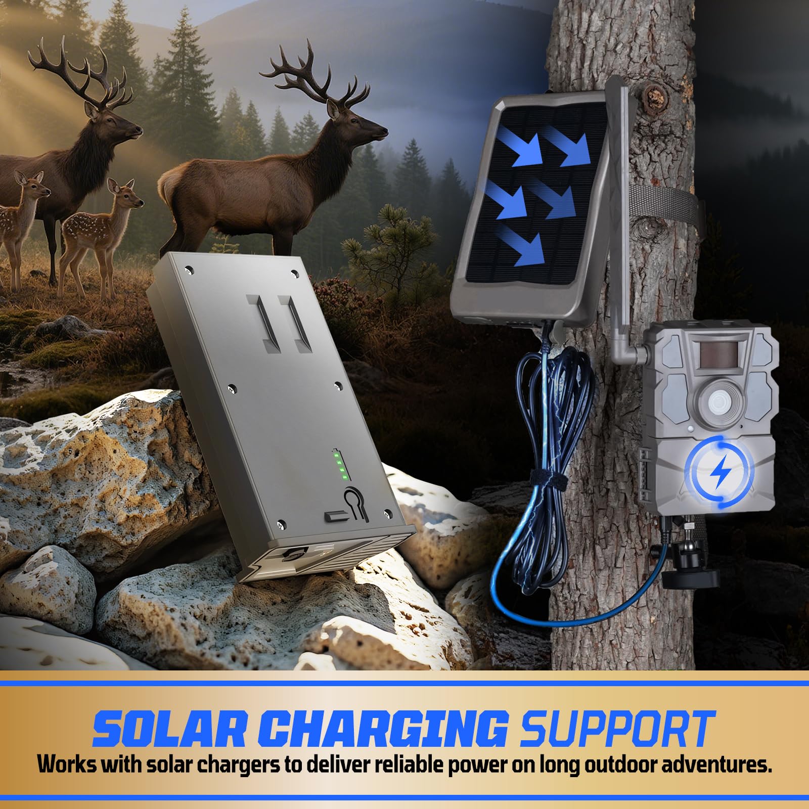 Azonpower dual charging via Type-C and 12V DC for flexible setup