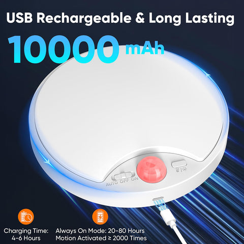 Bairth wireless motion-sensor ceiling light with remote for easy control.