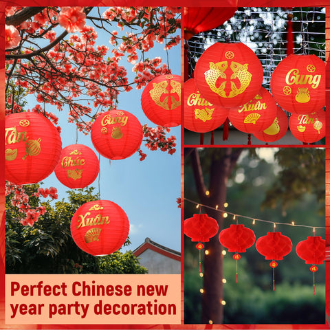 Baquler Tet decor brightens living rooms for spring festival