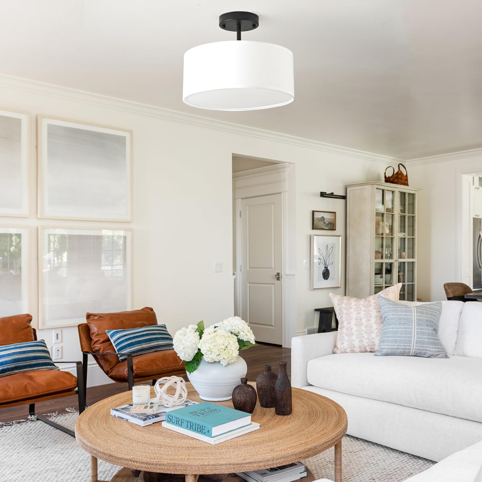 Bargeni dimmable ceiling light supports mood lighting.
