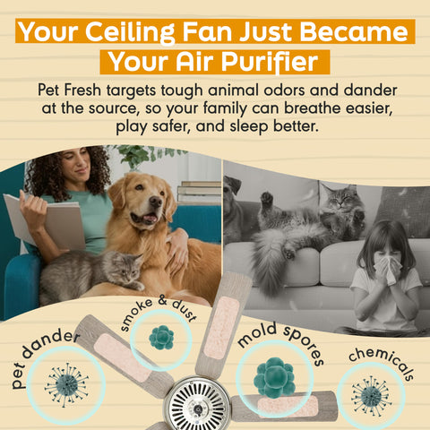 Barnakl zeolite filter captures pet odors while the fan runs