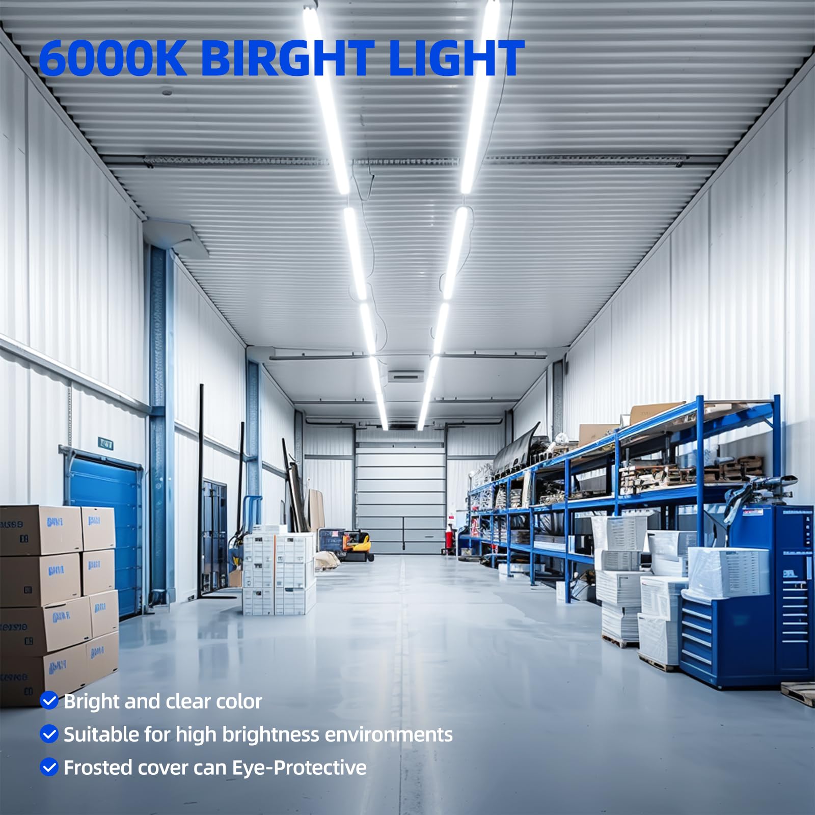 Barrina 6000K cool white LED provides bright daylight-like visibility