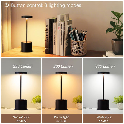 Barryca IP54 waterproof lamp for poolside and rain