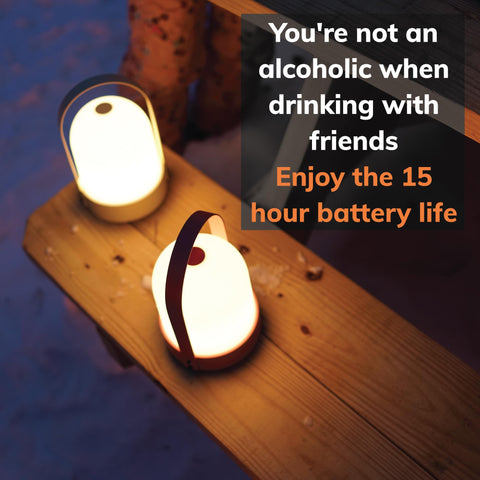 Bask KIN 3.0 diffuse shade creates soft ambient lighting