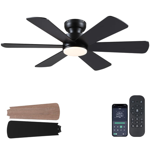 BayDay 46-inch black ceiling fan with light shown in a modern living room setup