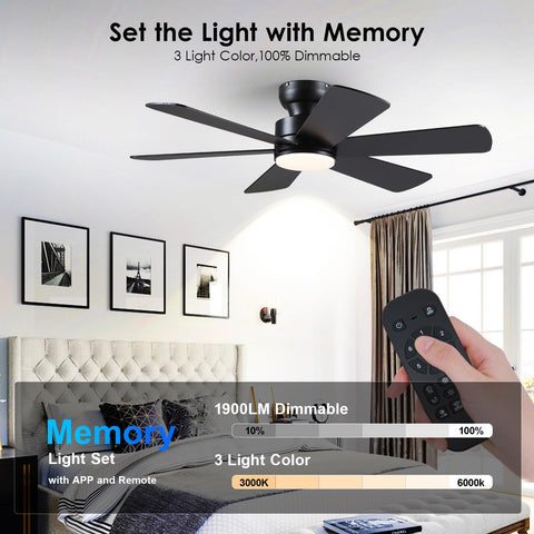 BayDay quiet DC motor operation for peaceful rooms