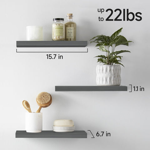 BayKA spacious shelves for books and plants to reduce clutter