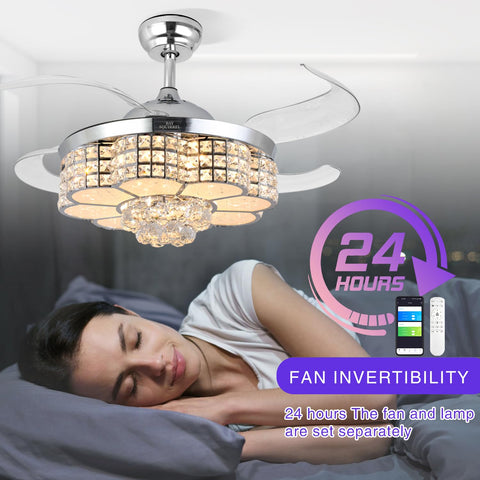 BAYSQUIRREL 24 hour timer for fan and light