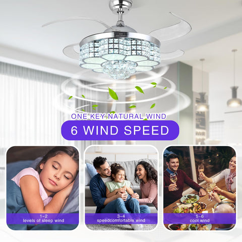 BAYSQUIRREL six speed fan with reversible blades