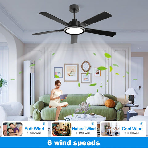 BAYSQUIRREL DC inverter motor saves energy and reduces noise.