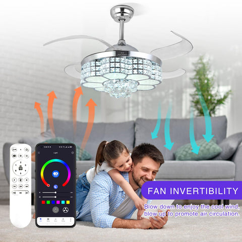 BAYSQUIRREL remote and app control for convenient use